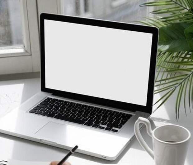 Пароли, счета, судьбы: раскрыта глобальная схема торговли персональными данными