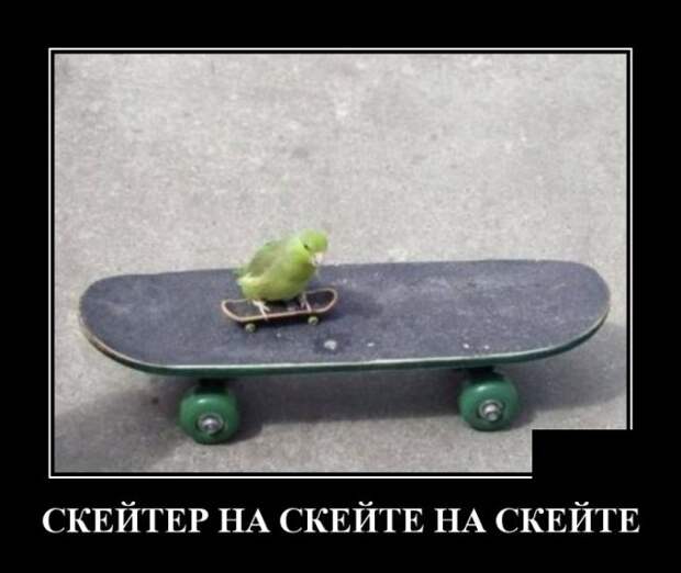 Демотиватор про скейтеров