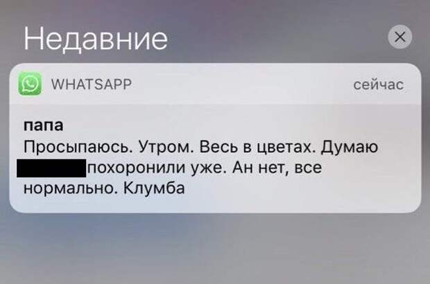 папа проснись