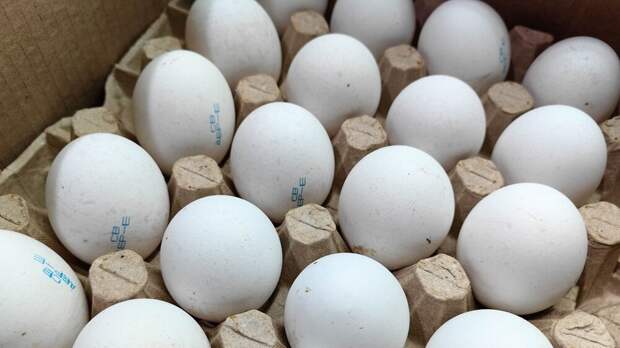 ФАС: цены на яйца в России регулируются рыночными механизмами