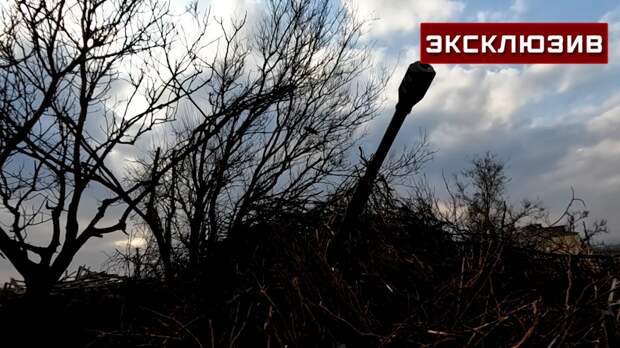 «Один снаряд - одна цель»: «Мста» снайперски убрала пункт дроноводов ВСУ