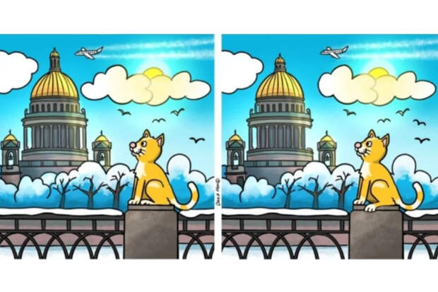 Исаакий, рыжий кот и 47 секунд: найдите 11 отличий на петербургских картинках
