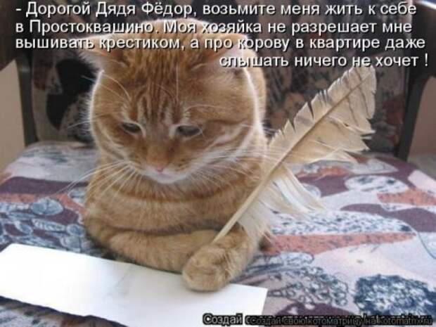 Пятничная котоматрица