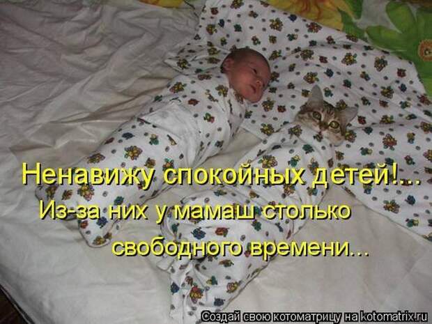 Выпуск 272: Красочные и улыбающие котоматрицы (30 фото) Выпуск 272: Красочные и улыбающие котоматрицы (30 фото)