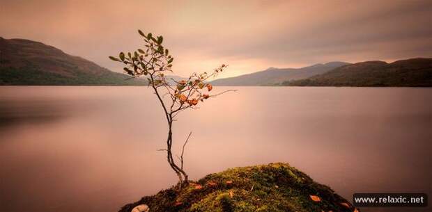 nature_009
