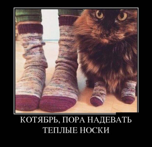 Демотиваторы (30 фото)