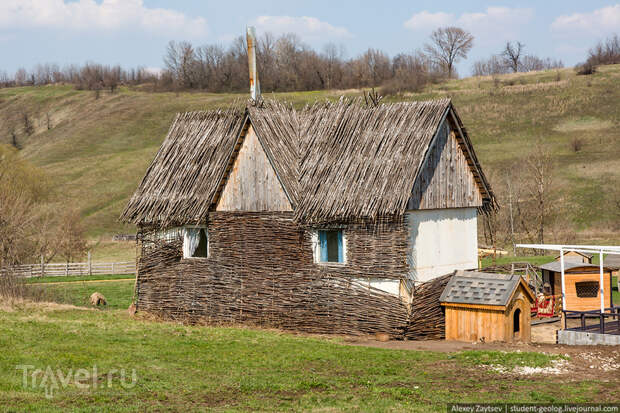 Сафари парк "Кудыкина Гора". Место, куда нужно приехать с детьми / Фото из России