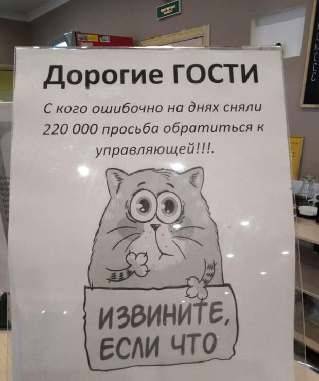 20 шедевров стенонаписания и столбообклеивания в виде самых неоднозначных объявлений