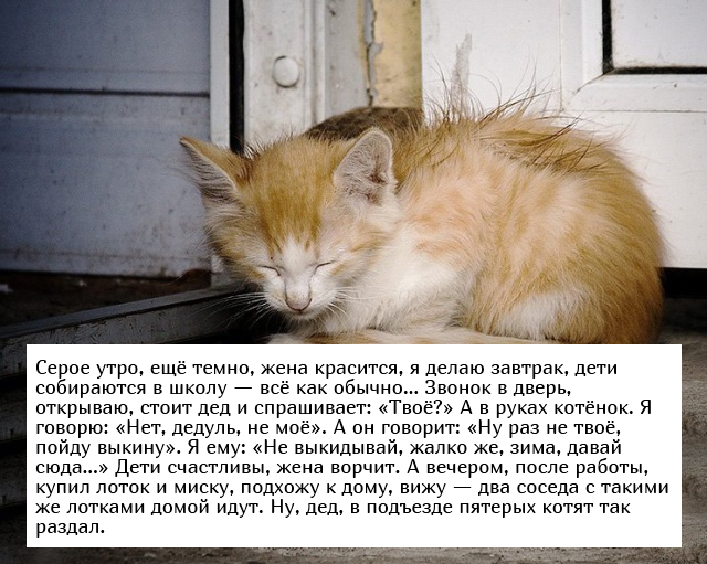Позитивные истории возвращающие веру в человечество Позитивные истории возвращающие веру в человечество