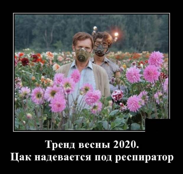 Демотиватор про тренды 2020