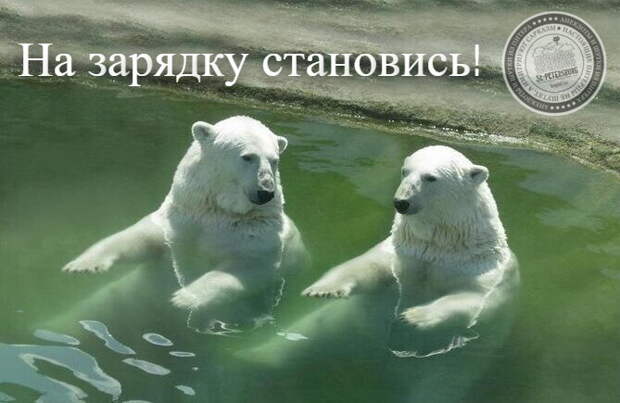 На зарядку становись