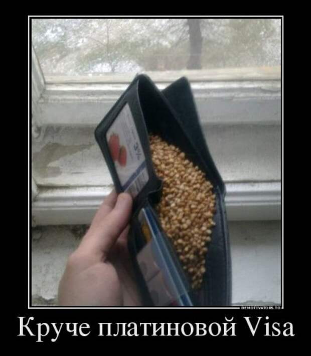 Свежая порция демотиваторов (13 шт)