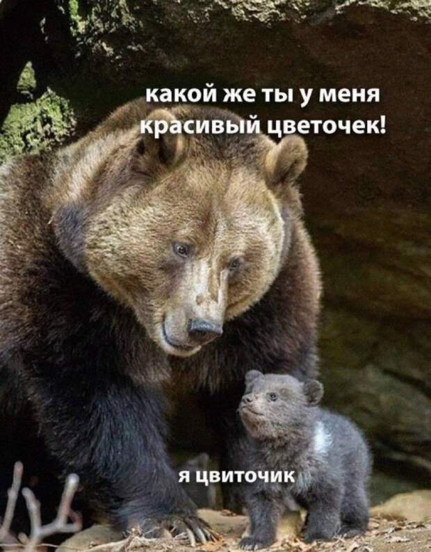 Интернет мемы в воскресение