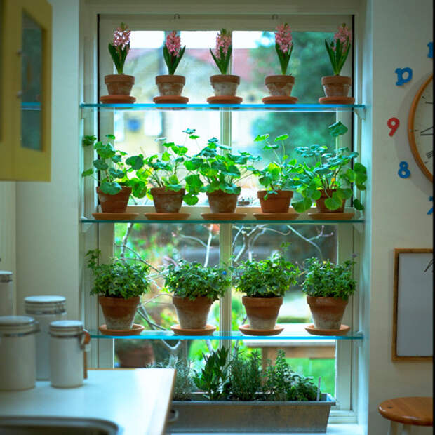 kitchen-shelves-greenhouse-shelves (550x550, 139Kb)