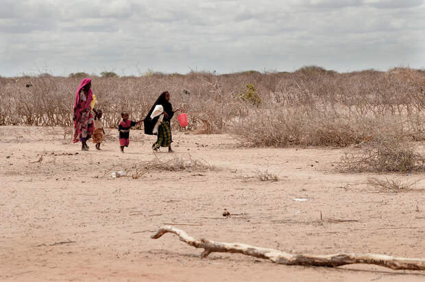 13 миллионов человек в Африке страдают от голода из-за аномальной засухи