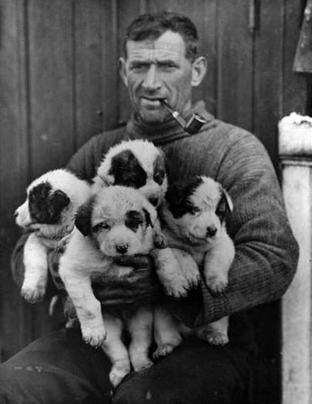 Фрэнк Хёрли: самые впечатляющие фотографии Антарктиды начала XX века
