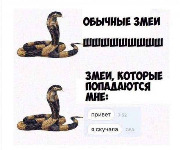 Шутки и мемы про отношения и современных девушек