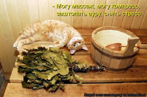 Котоматрицы(картинки с надписями)