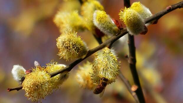 А знаете, кто самый счастливый человек? Тот, кто одинаково любит и дождь, и солнце! Представляем прогноз на 28 апреля в Туле
