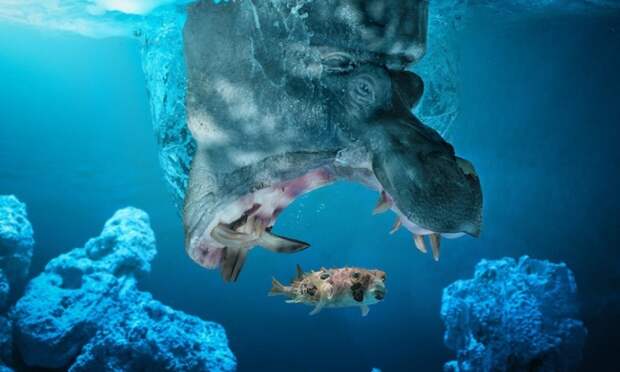 За секунду до ... приколы, смешно до слез