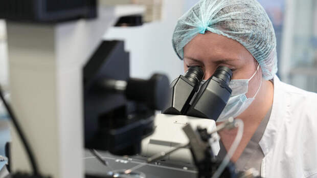 Российские ученые создали технологию для самовосстановления печени