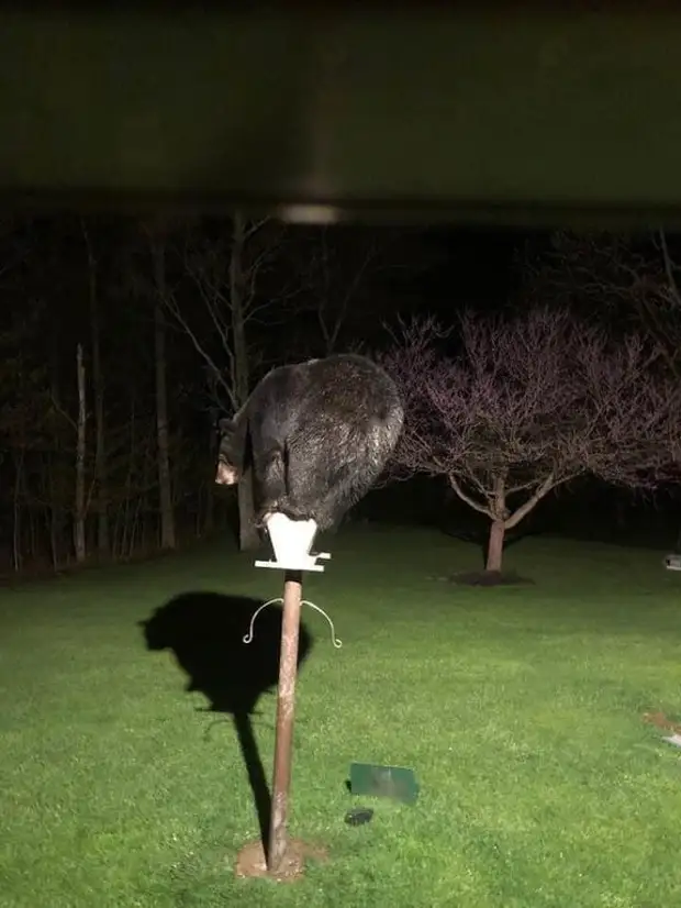 : 30  ,      9 - BigPicture.ru