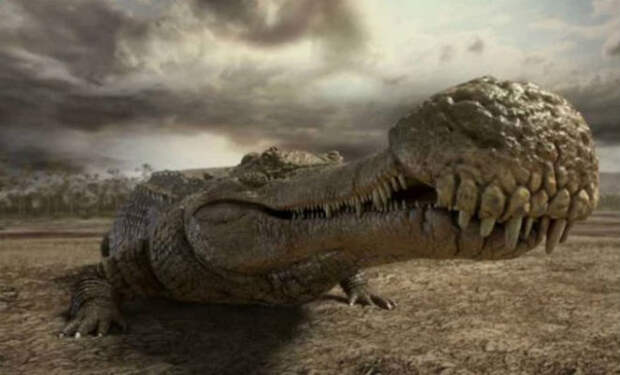Самый большой крокодил планеты