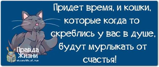 ПОЗИТИВНЫЕ ФРАЗОЧКИ В КАРТИНКАХ ДЛЯ ХОРОШЕГО НАСТРОЕНИЯ ПОЗИТИВНЫЕ ФРАЗОЧКИ В КАРТИНКАХ ДЛЯ ХОРОШЕГО НАСТРОЕНИЯ