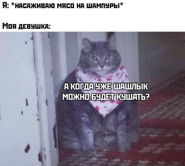 www.vsyako.net