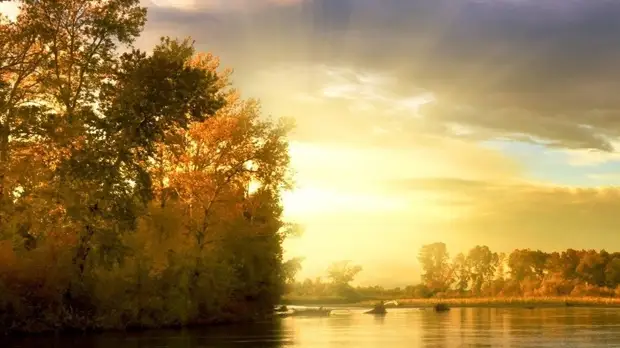 Эксперт прокомментировал ситуацию с ущербом, который предприятия наносят природе