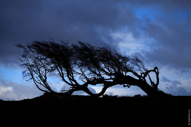 Tierra del Fuego