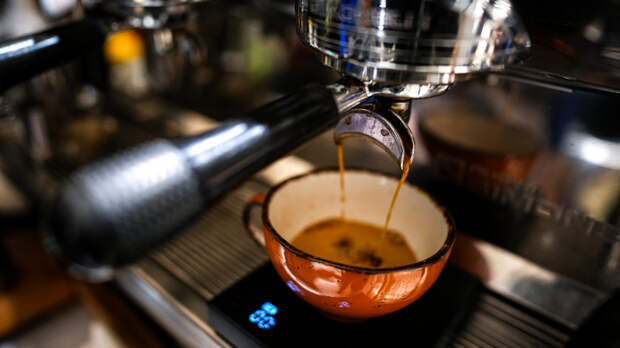 Заимствованные кофейные термины хотят внести в словари