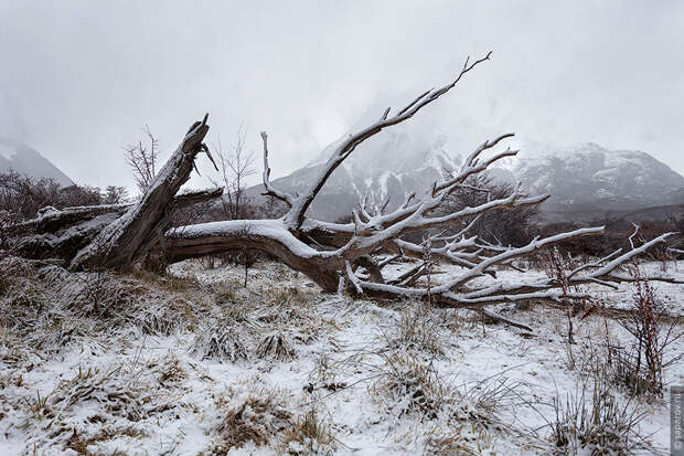 Tierra del Fuego