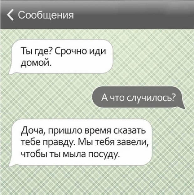 https://cdn2.umbrella.green/wp-content/uploads/2016/12/8-74.jpg