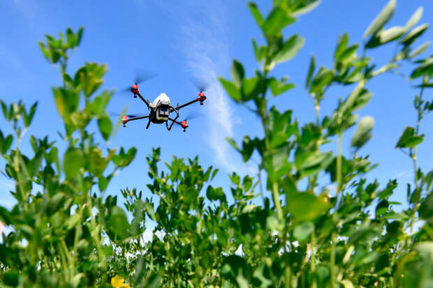 В Приморье выявили незаконное использование 25 дронов в сельском хозяйстве