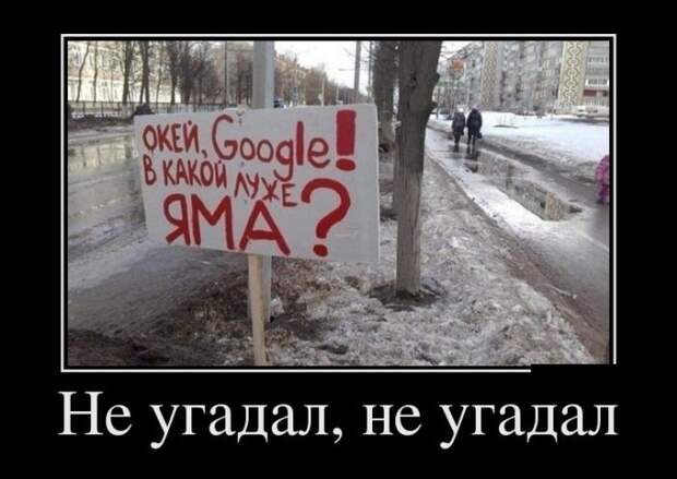 Демотиваторы