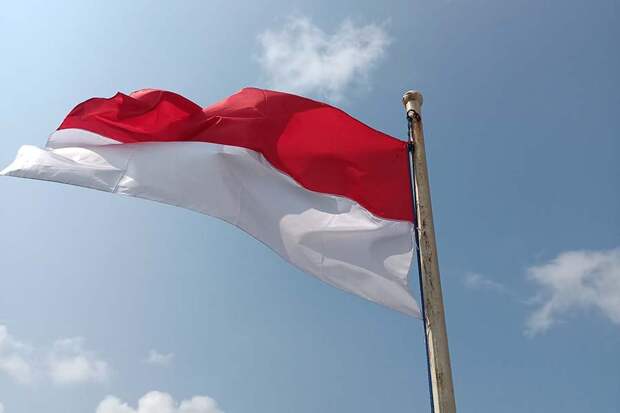 Для чего России Индонезия