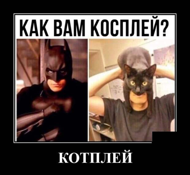 Демотиваторы Демотиваторы