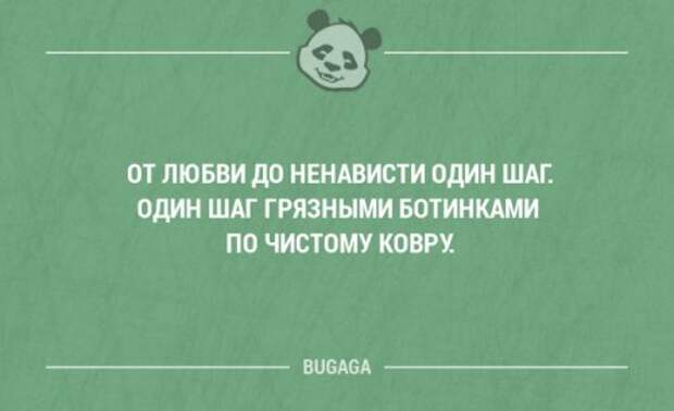 Прикольные фразы и мысли в картинках с надписями. Часть 60 (20 шт)