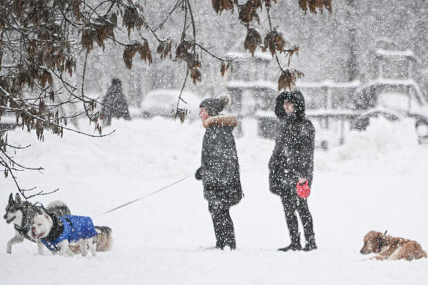 Москвичей предупредили о ежедневных снегопадах