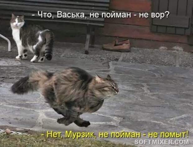 2b9fd47bb2bff22b08781101628_prev
