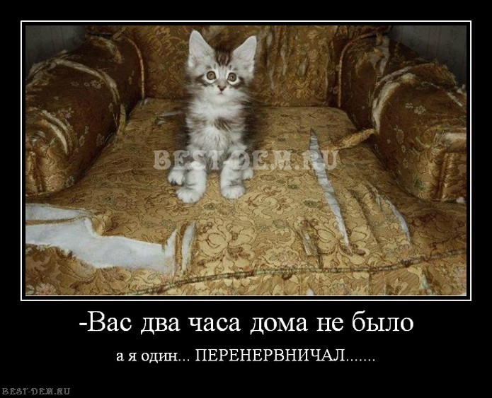 Анекдотики коротенькие, но симпатишные с демками в перемешку Анекдотики коротенькие, но симпатишные с демками в перемешку