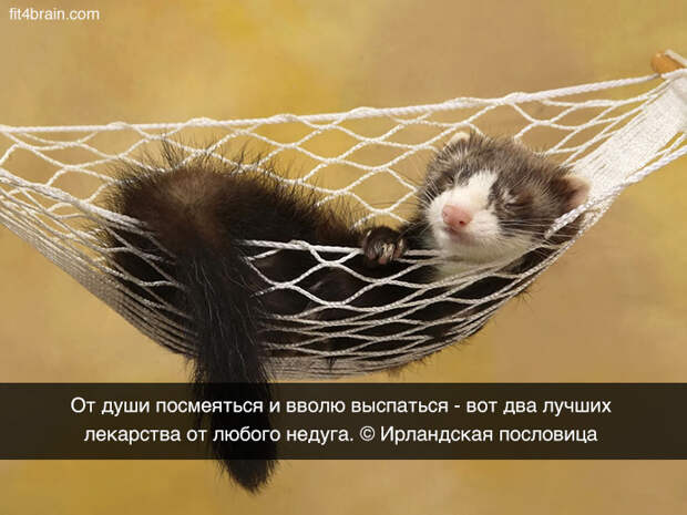 Совет дня
