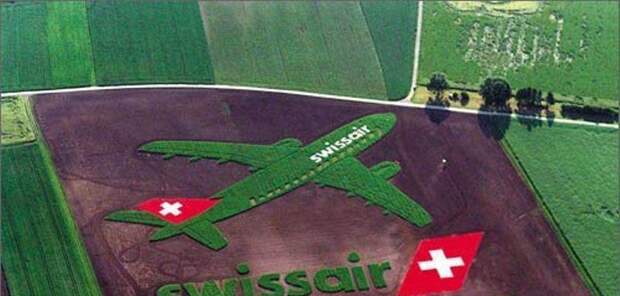 Фотография: Гиганская реклама авиакомпании Swissair выращенная на поле.Реклама занимает более 100 000 квадратных метров, была выращена неподалеку от Мюнхенского аэропорта. Потребовалось 4 месяца на выращивание и покраску.