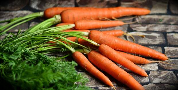 Как правильно сажать морковь