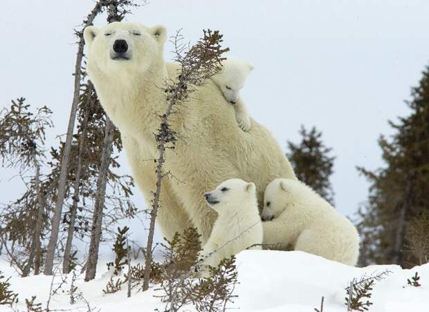 Эмоциональные снимки  конкурс, лучшие, фото, фотоподборка
