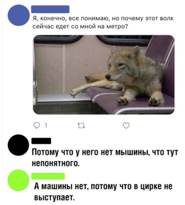 www.vsyako.net