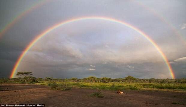 Потрясающие фото радуг со всех концов Земли, которые сделают ваш день лучше