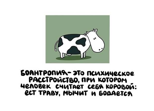 Интересные факты на все случаи жизни