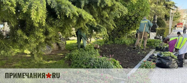 На улицах Ялты началась высадка летних цветов